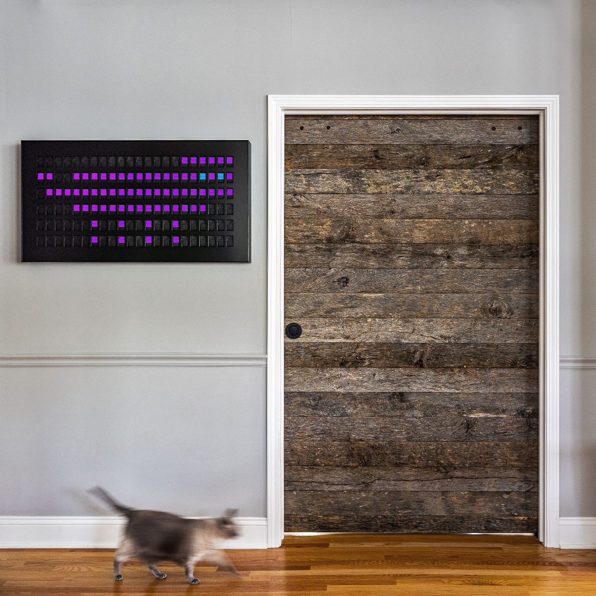 Vestaboard_Highland-Park_Cat-HI-SQ-1